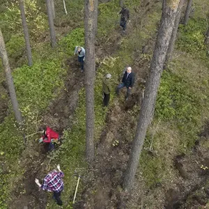 Umweltschutz4