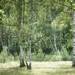 Umweltschutz5