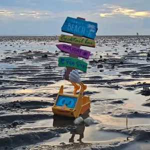 Simsala SUM steht im nassen Sand und hält Richtungsschilder.