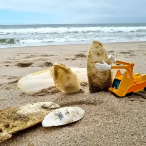 Spielfigur Simsala SUM spielt Baustelle mit Muscheln am Strand.