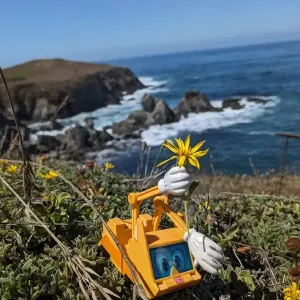 Figur Simsala SUM hat eine Blüte in der Hand und steht vor einer felsigen Küste.