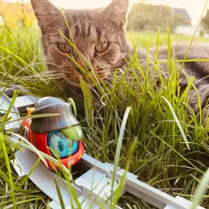 Figur Sally S-Bahn fährt über Gleise durch tiefes Gras, hinter ihr eine Katze.