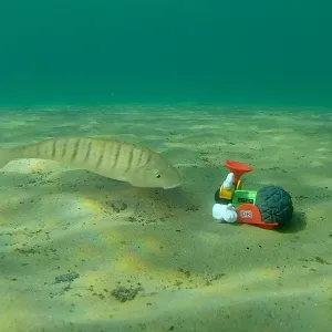 Figur Opa Adler steht in einer grünen Unterwasserwelt einem Fisch gegenüber.