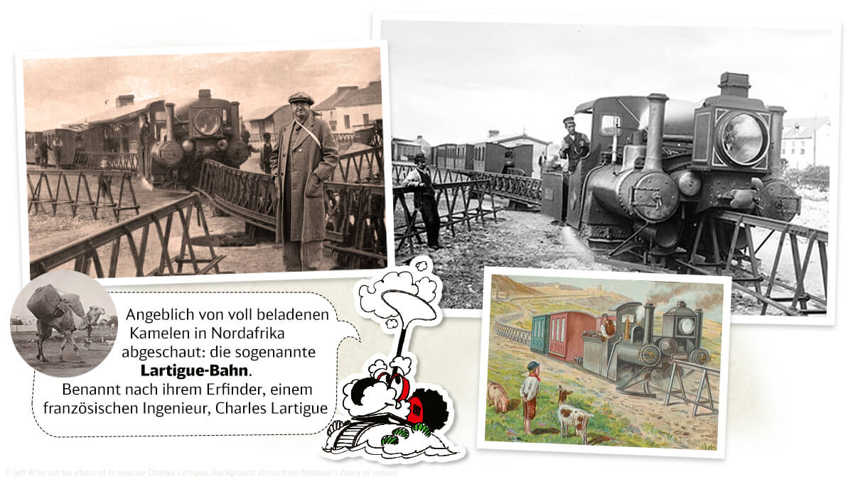 Wie ein Kamel in der Wüste