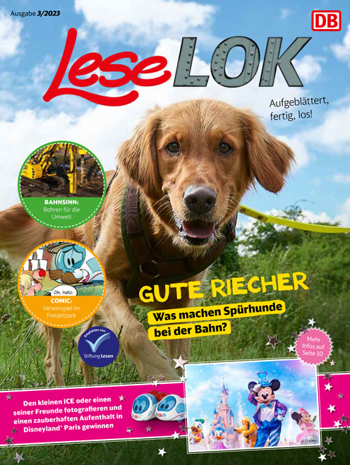 LeseLOK