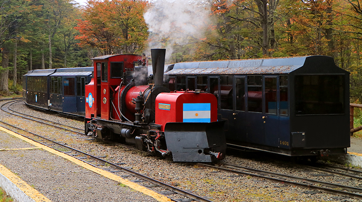 Dampflok des Ferrocarril Austral Fueguino mit mehreren Personenwagen auf einer schmalspurigen Bahnstrecke in einem Waldgebiet auf Feuerland.