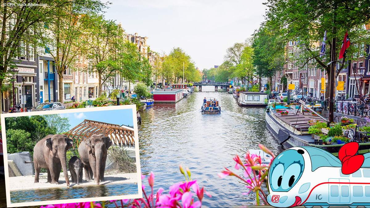 Amsterdam: Boot fährt auf einem der vielen Kanäle. Elefanten im Zoo sind an der linken Ecke des Bilds zu sehen und an der anderen Ecke die fröhliche Ida.