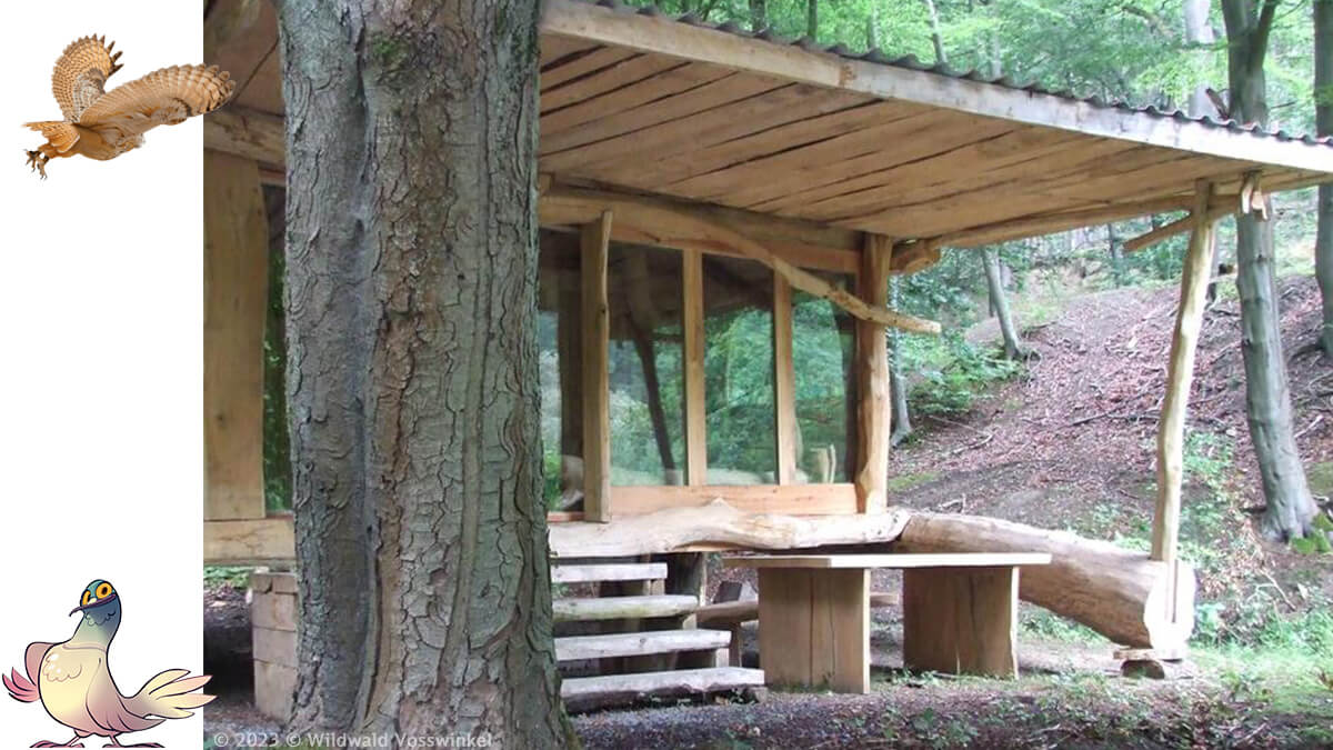 Gemütliche Holzhütte mit großen Fenstern mitten im grünen Wildwald Vosswinkel