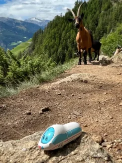 Figur der kleine ICE steht auf einem Wanderweg im Gebirge, hinter ihm Ziegen.