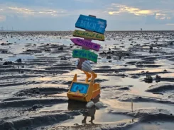 Simsala SUM steht im nassen Sand und hält Richtungsschilder.