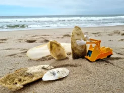 Spielfigur Simsala SUM spielt Baustelle mit Muscheln am Strand.
