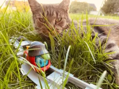 Figur Sally S-Bahn fährt über Gleise durch tiefes Gras, hinter ihr eine Katze.