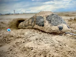 Figur Ida ICE steht neben einem aus Sand gebauten ICE.