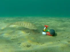 Figur Opa Adler steht in einer grünen Unterwasserwelt einem Fisch gegenüber.