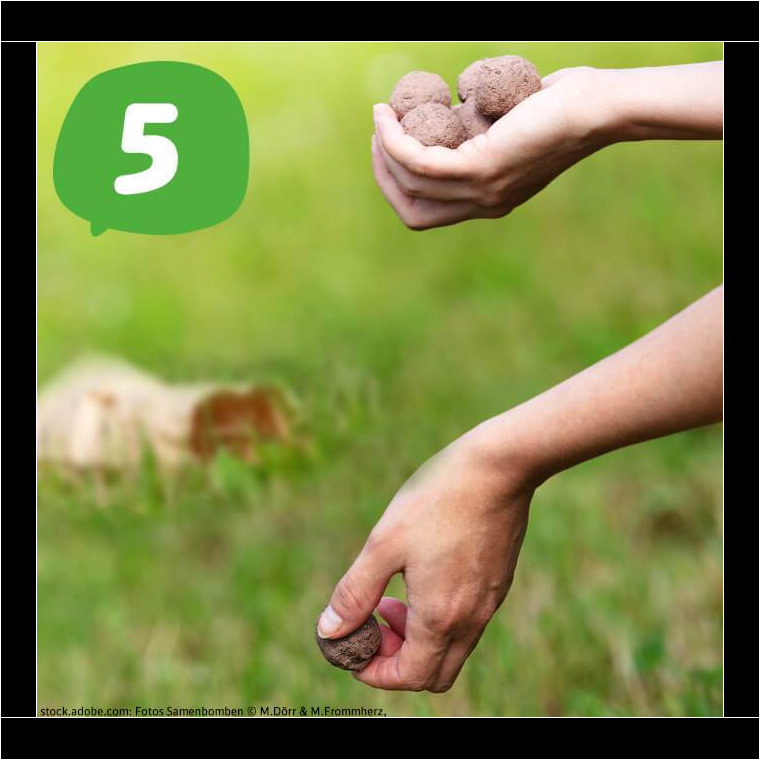 Bild 5 von 5
Sind die Bomben durchgetrocknet, kann es losgehen: Geh raus und verteile sie in der Landschaft. Hände verteilen Samenkugeln ´. Am Bildrand Nummer 5