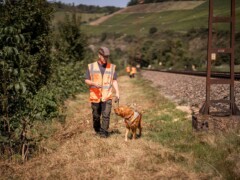 Entlang der Schienen ist dieses Team im Einsatz.