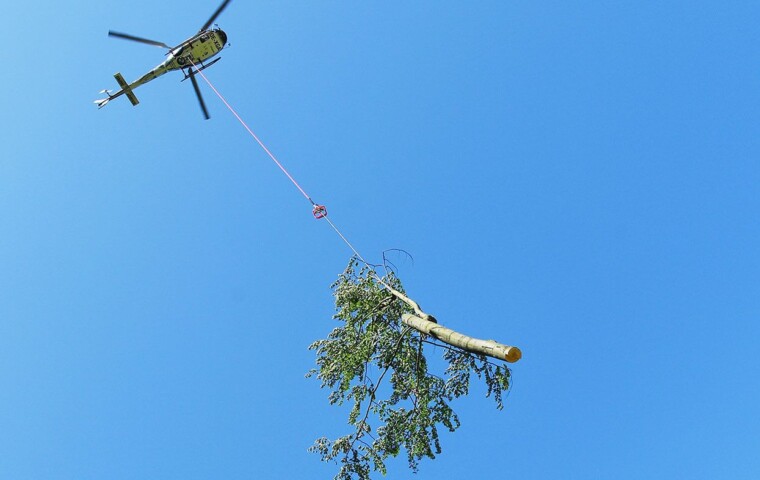 Schau mal hier, da fliegt ein Hubschrauber mit einem halben Baum durch die Luft! © Deutsche Bahn AG / Oliver Lang Ein Hubschrauber transportiert einen Baumstamm