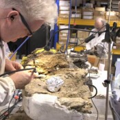 Detailarbeit an archäologischen Befunden